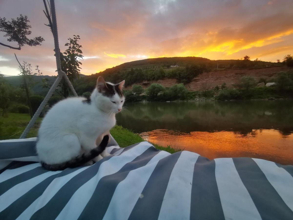 Vikendica Pored Drine Foca Handici 外观 照片